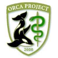 orca_official
